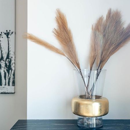Le Beau Marcy - Contemporary City Centre Flat Annecy Luaran gambar