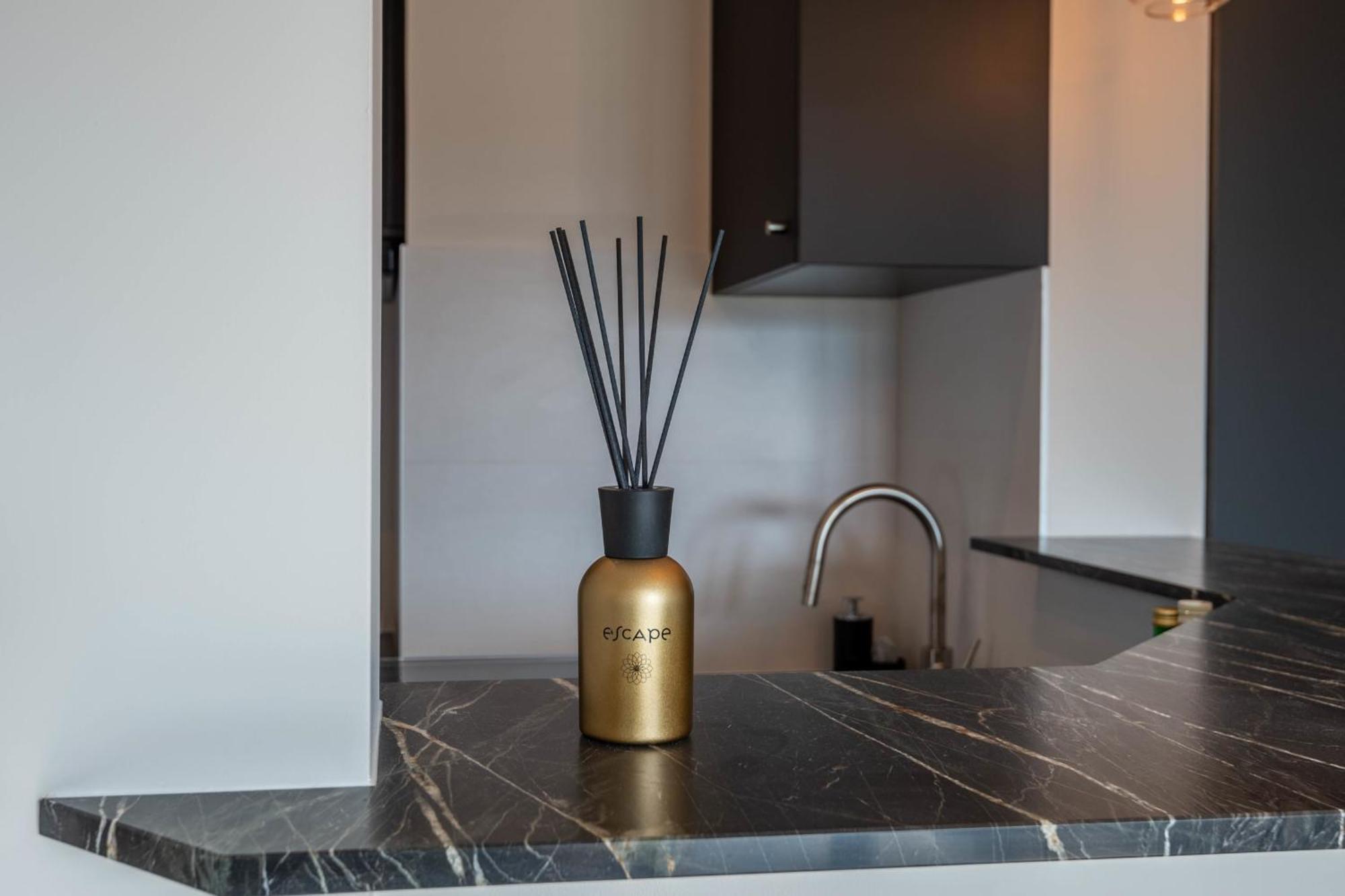 Le Beau Marcy - Contemporary City Centre Flat Annecy Luaran gambar